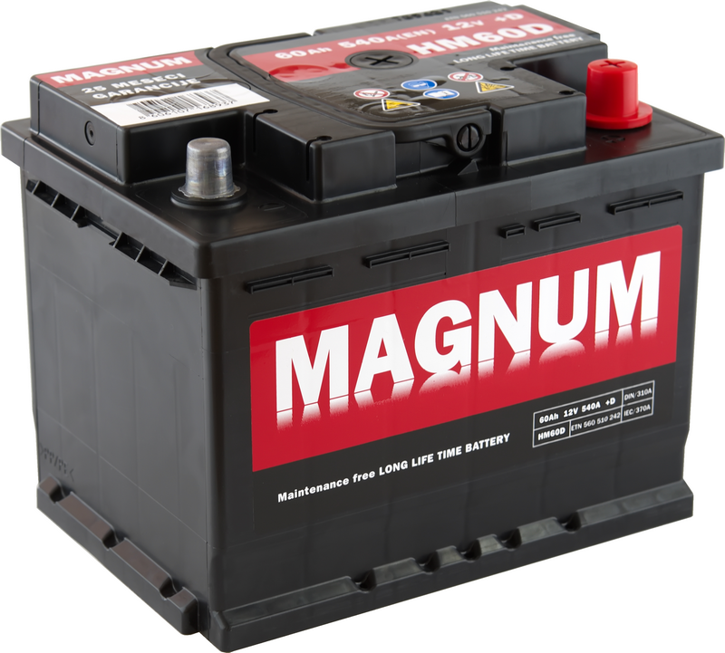 Magnum akumulator 60 ah D+